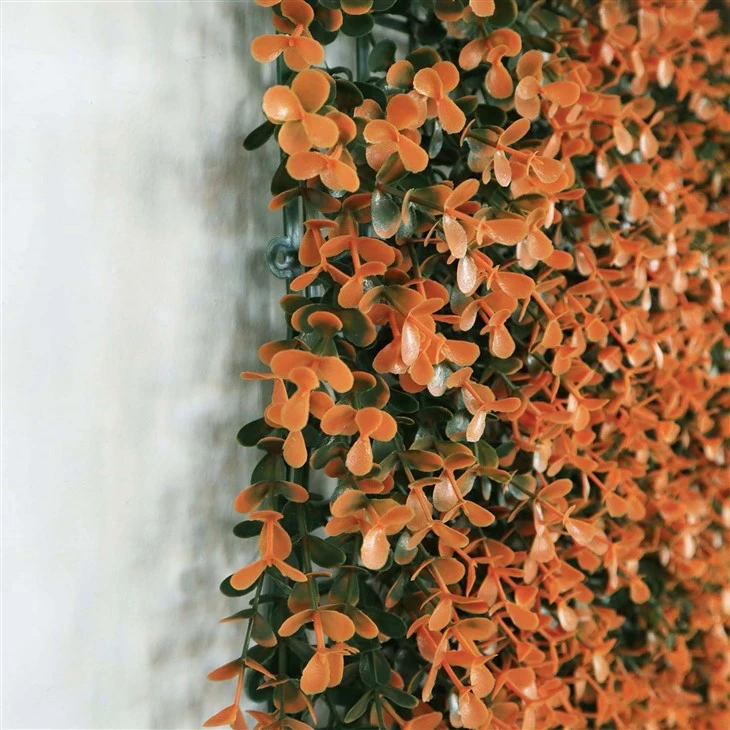 Grass Wall In Home