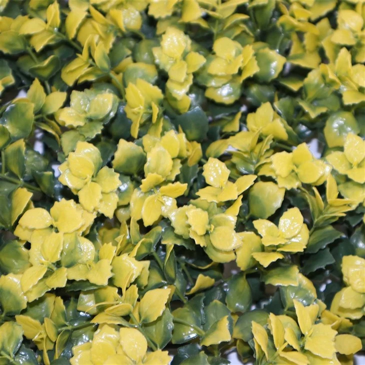 The Living Wall