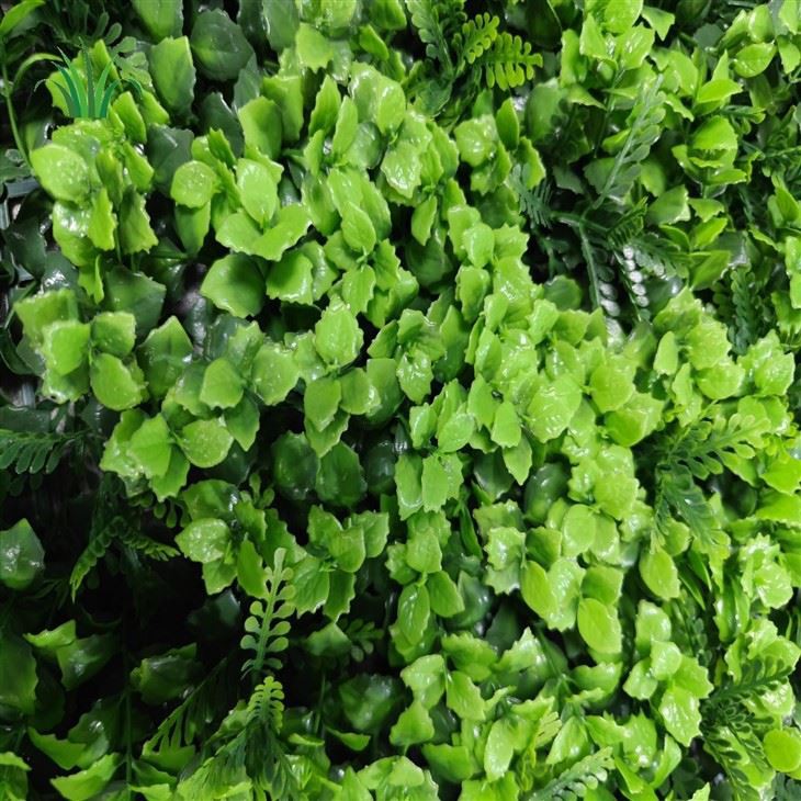 Artificial Grass Wall Interior