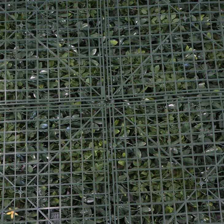 Indoor Vertical Garden