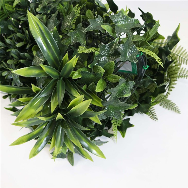 Living Moss Wall Indoors