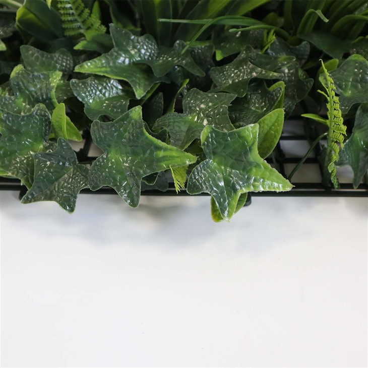 Living Moss Wall Indoors
