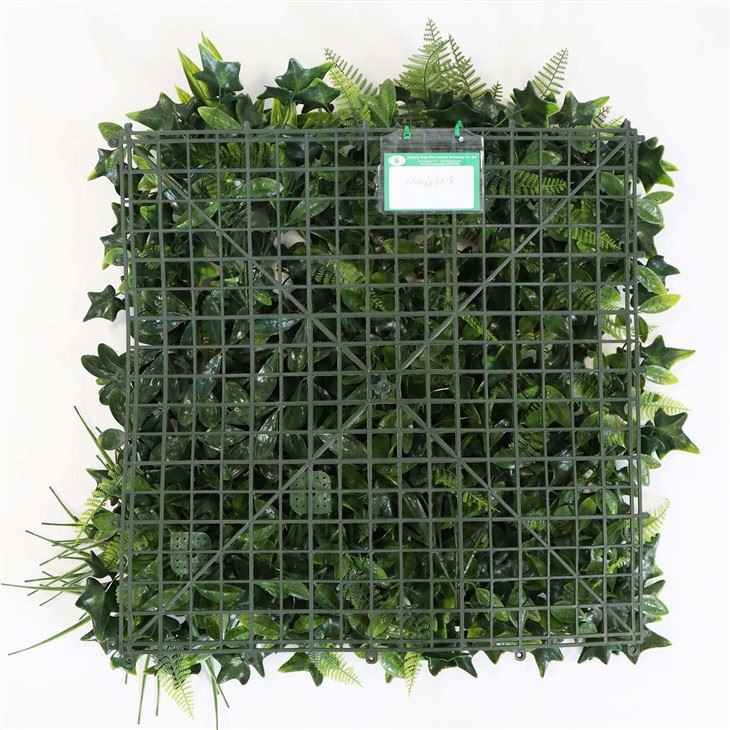 Living Moss Wall Indoors
