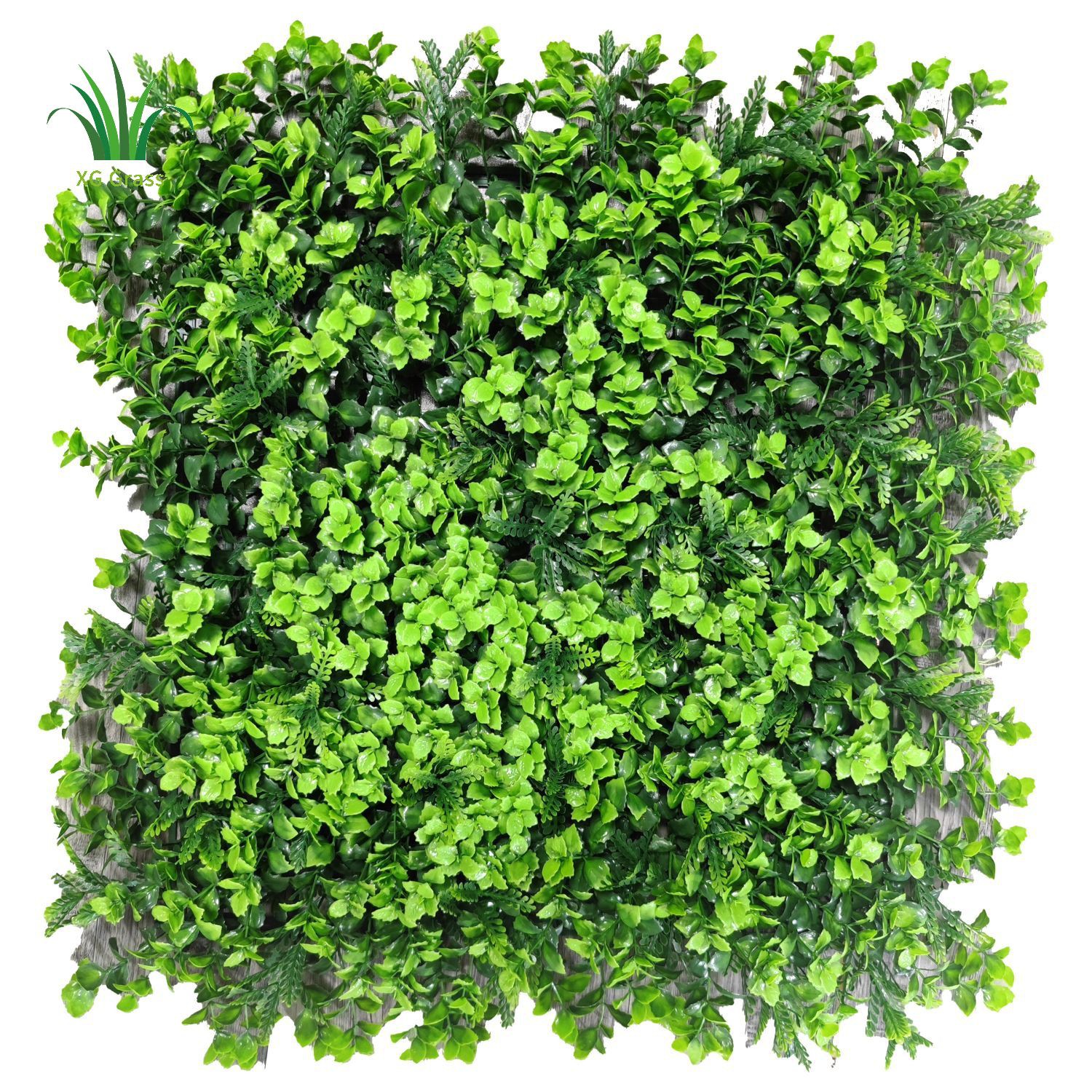 diy green wall indoor diy green wall indoor