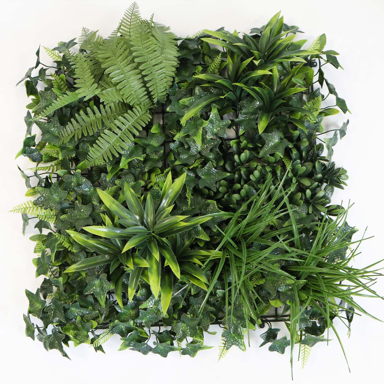 indoor living green wall indoor living green wall