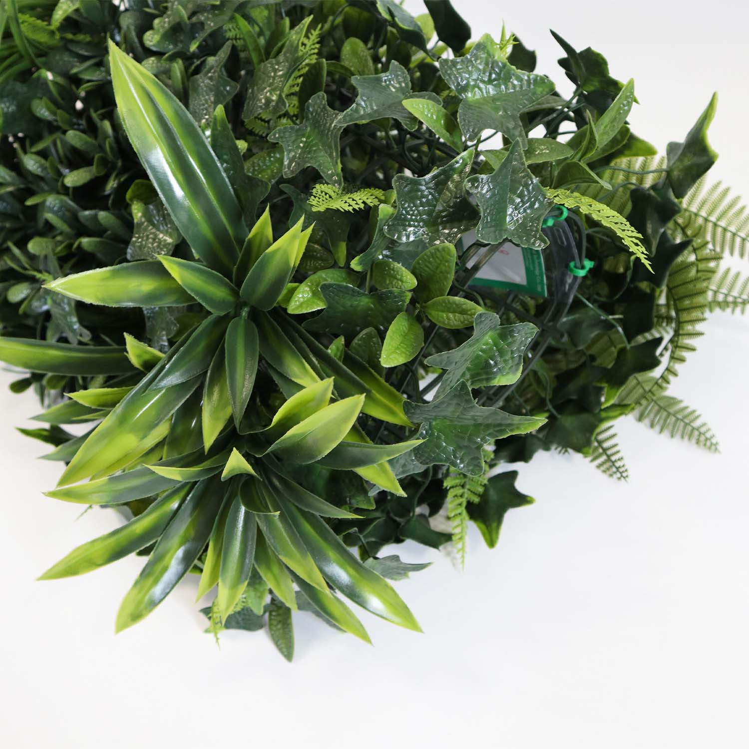 diy living wall indoor diy living wall indoor