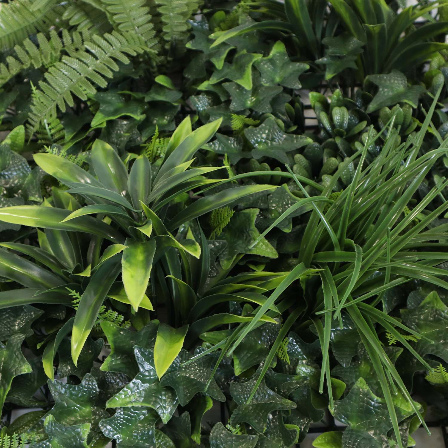 living room plant wall living room plant wall
