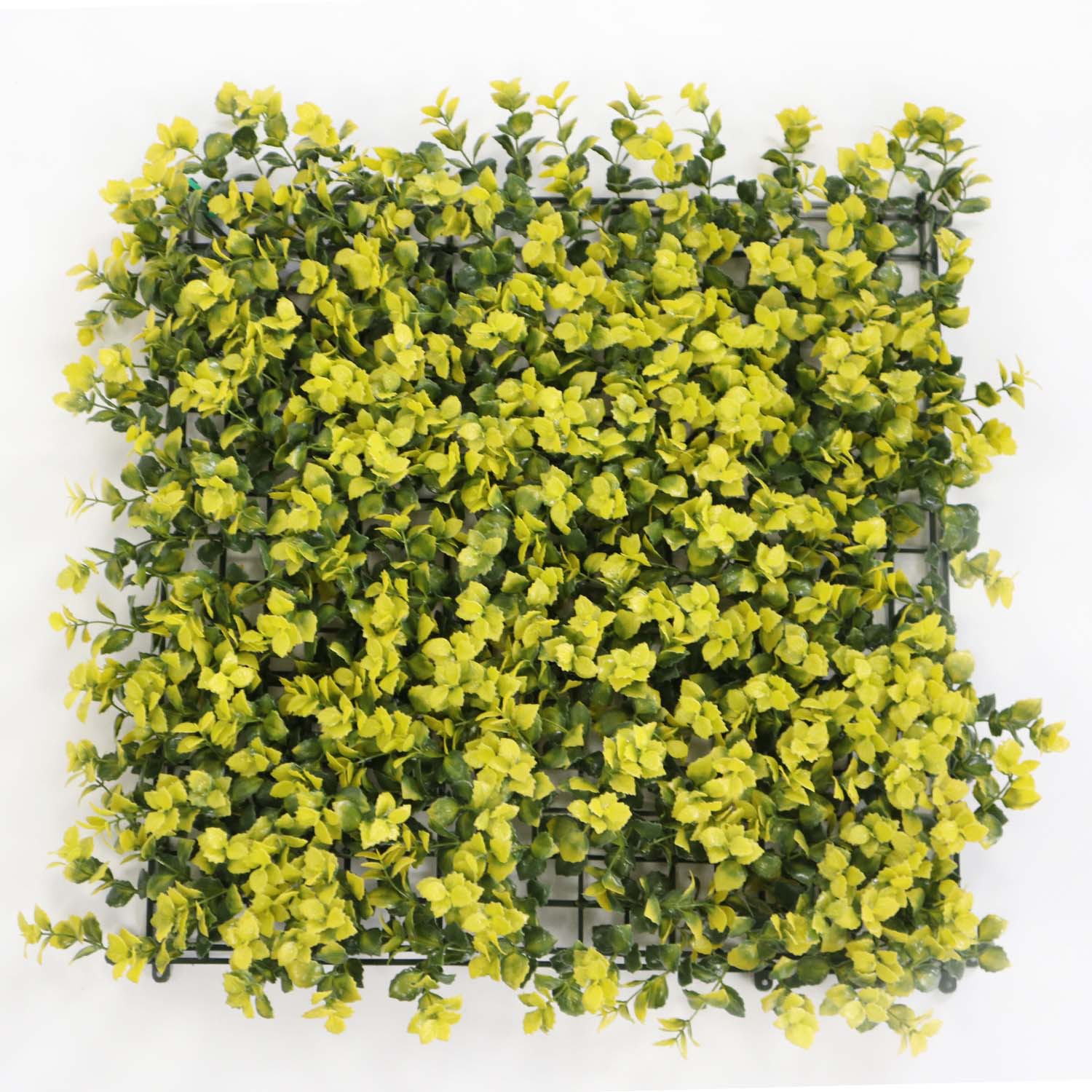 Faux Grass Walls Faux Grass Walls