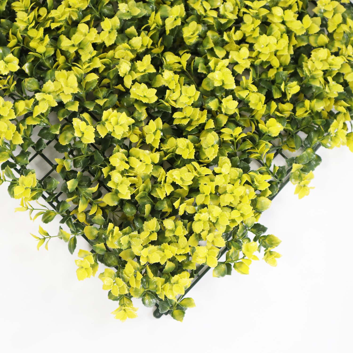 indoor hedge wall indoor hedge wall