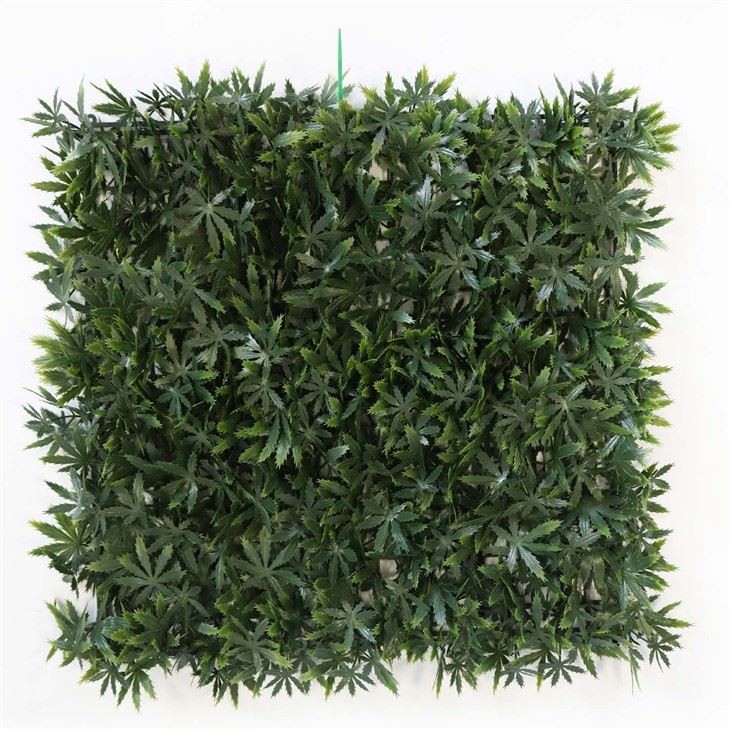 Room Grass Wall
