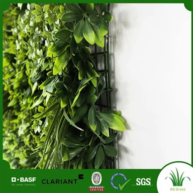 وال آئیوی انڈور