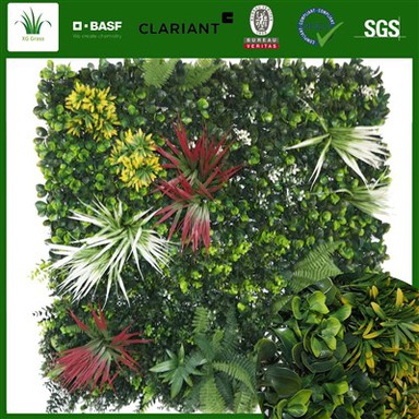 وال پلانٹ ہینگرز انڈور